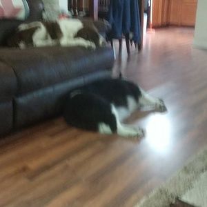 Meet your Posher, Debbie